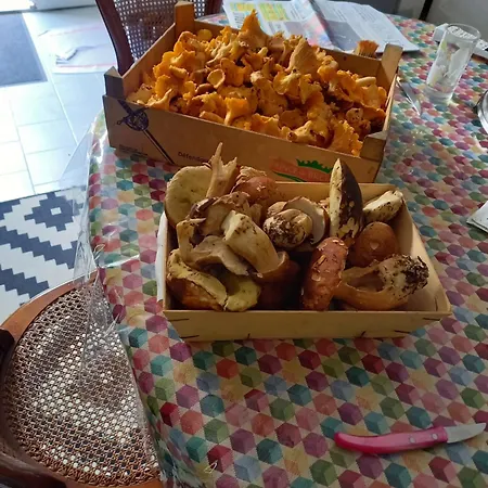 Centre Medieval Le Boudoir De Marie Apartament Sarlat-la-Canéda